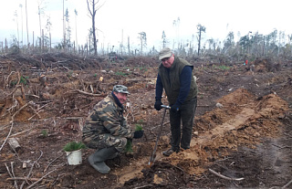 Помощь от лесоводов Островетчины
