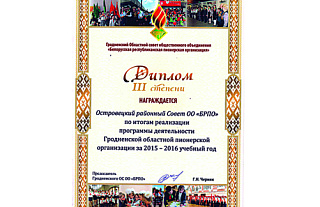 Островецкие пионеры в призерах