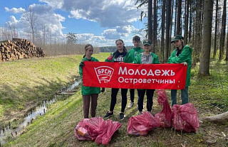 Фотофакт. Молодежь Островетчины приняла участие в республиканском субботнике