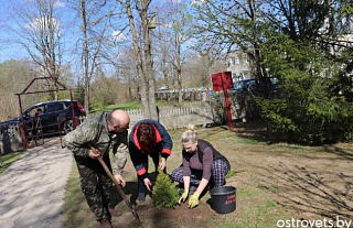 «Мало навести порядок – его нужно поддерживать», считает председатель районного Совета депутатов Ирина Тальчук