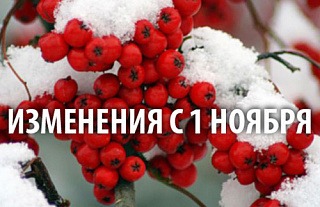 Что изменится в Беларуси с 1 ноября