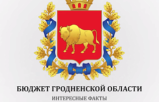 На что идет бюджет Гродненской области. Медицина. (видео)