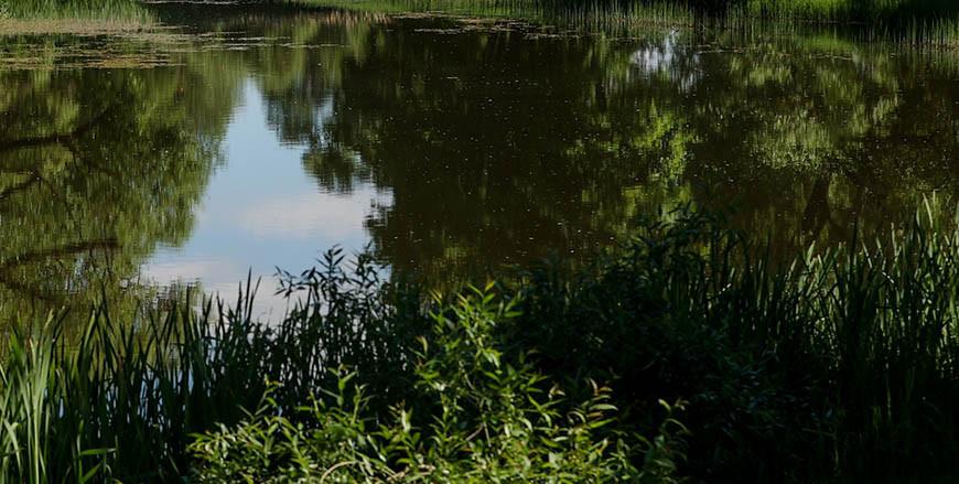 Мужчина утонул в искусственном водоеме в Дятловском районе