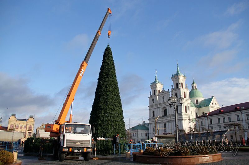Зеленых красавиц и елочных базаров в Гродно  в этом году будет больше