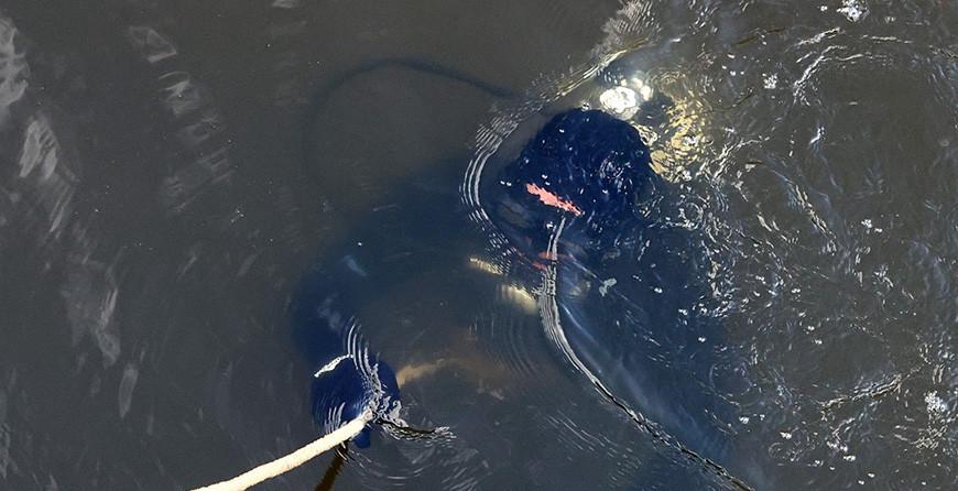 Пенсионер утонул в реке Неман в Гродненском районе