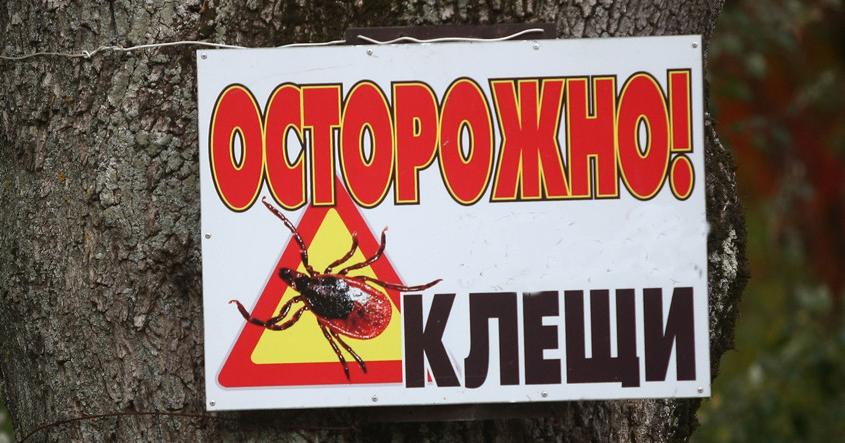 Более 100 случаев клещевого энцефалита и боррелиоза зарегистрировано в Гродненской области за сентябрь