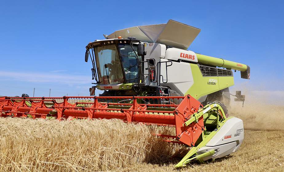 7 августа намолочено более 4 млн тонн зерна вместе с рапсом