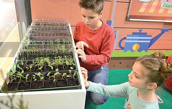 «Евроопт» продлил весеннюю акцию «Краіна Вітаміна» до 15 апреля