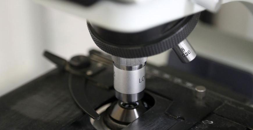 В Чехии выявили новый штамм COVID-19