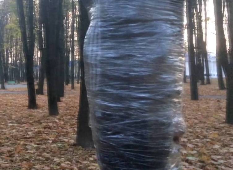 Мужчина отказался уезжать с дачи, за это его привязали к дереву
