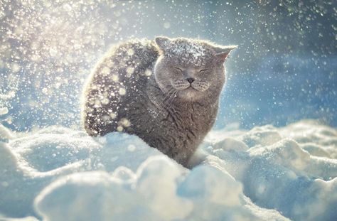 Снег и порывистый ветер ожидаются в Беларуси 15 января