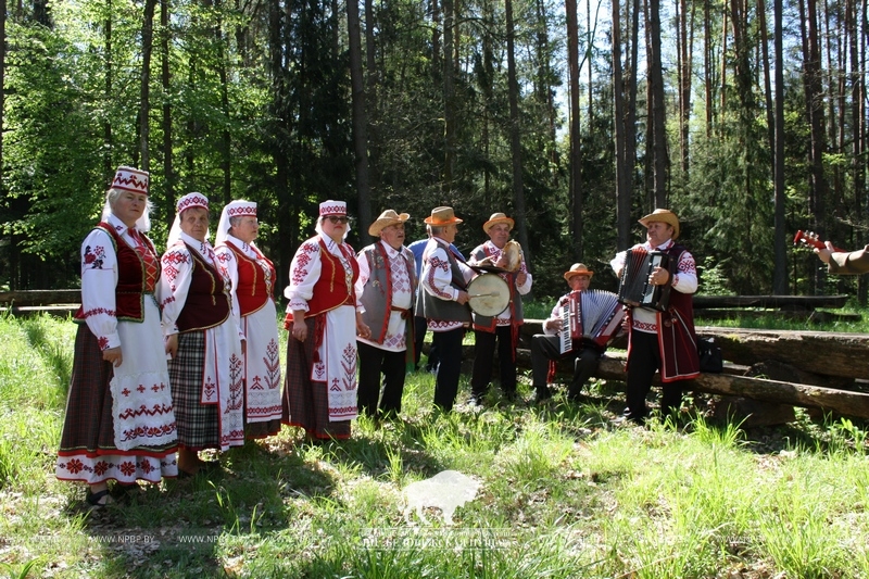 Живописные виды, обряды и традиции. В Беловежской пуще пройдет открытый фестиваль "Добрыя суседзi"
