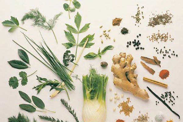 Не все лекарственные травы одинаково полезны. Как правильно лечиться травами?