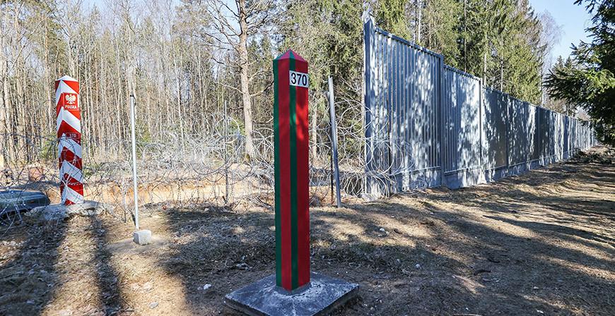 "Памятники человеческой бездумности". Польская газета рассказала, чем может обернуться строительство забора в Беловежской пуще