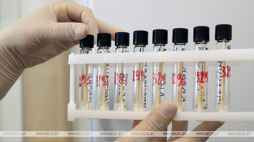 В Беларуси выздоровели и выписаны 23 015 пациентов с COVID-19