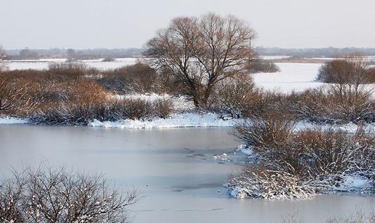 До 22 градусов мороза ожидается 18 марта в некоторых районах Беларуси