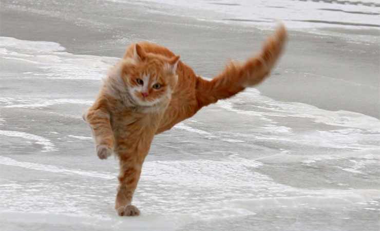 Видеопрогноз. Оранжевый уровень опасности объявлен в Беларуси 26 февраля из-за сильного ветра