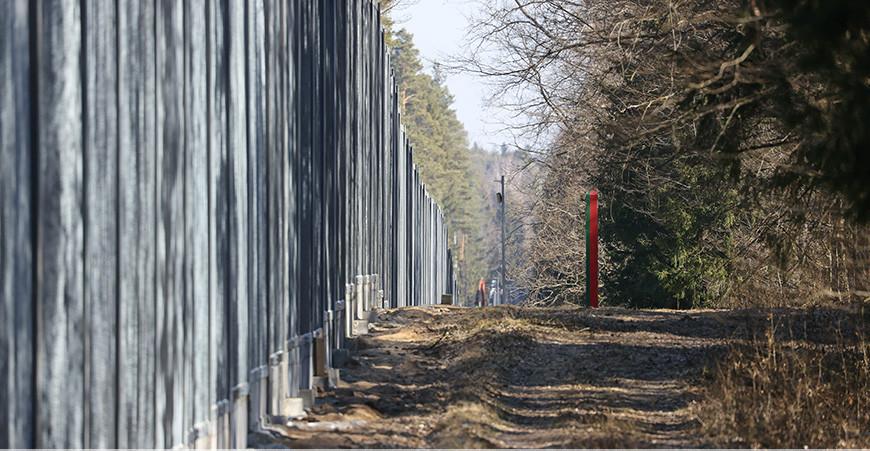 Стена недопонимания. Польский забор на границе загубит Беловежскую пущу?  