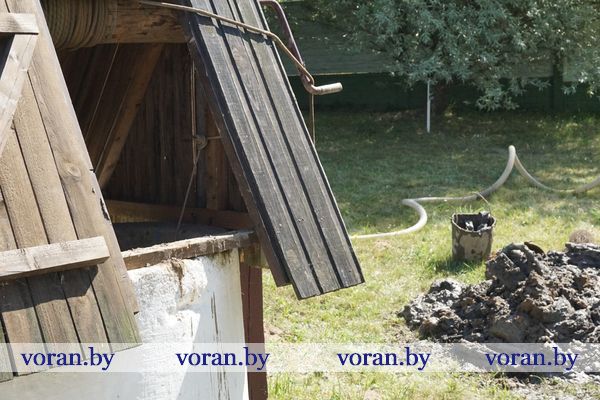 Чистили питьевой колодец. Мину времен Великой Отечественной войны нашли в Вороново