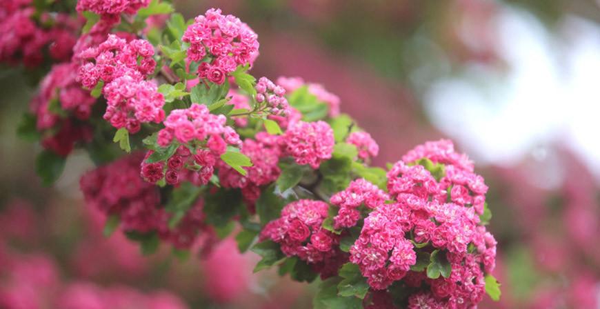 Грозы и до +28°С ожидается в Беларуси 12 июня