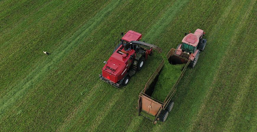 Минсельхозпрод: планируется сократить до минимума отставание по заготовке травяных кормов