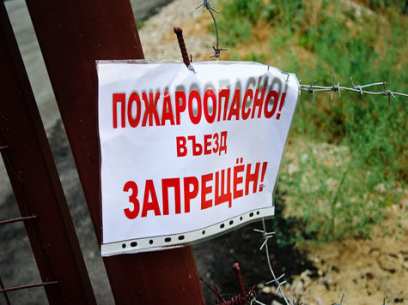 Запрет на посещение лесов в Гродненской области продлен