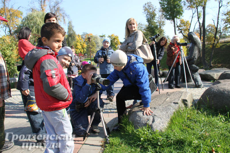 В Гродно подсчитали птиц