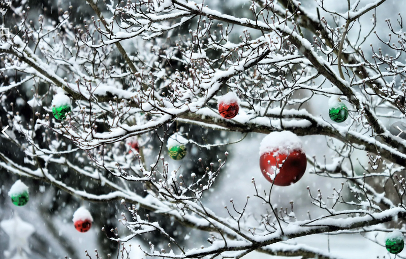 До -17°С ожидается в Беларуси 28 декабря