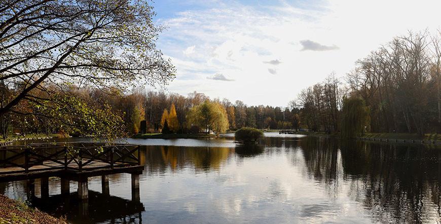 Порывистый ветер и до +14°С ожидается в Беларуси 12 ноября