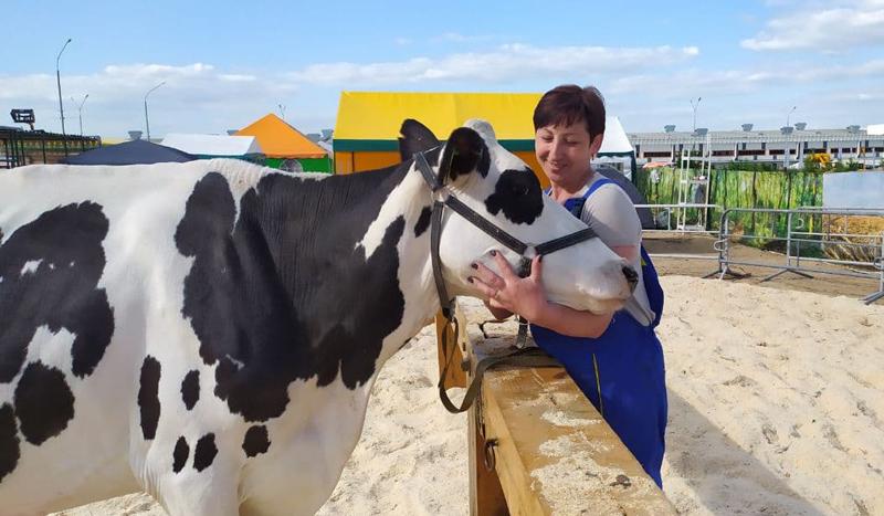 Победила Амазонка. КСУП «Племзавод «Россь» Волковысского района стало победителем республиканского конкурса «Лучшая племенная корова молочной породы» в рамках международной выставки «Белагро-2021»