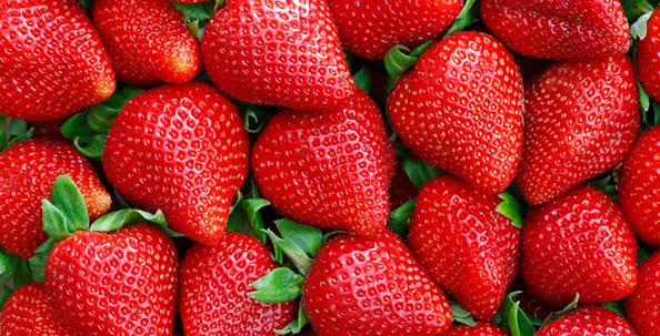 3 способа защиты клубники для хорошего урожая
