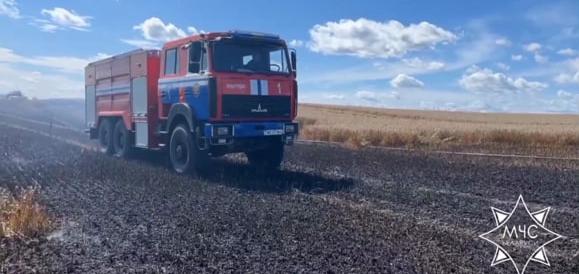 В агрогородке Негневичи Новогрудского района горело поле озимой пшеницы