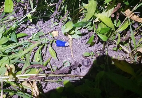 В Гродно задержали распространителей психотропов