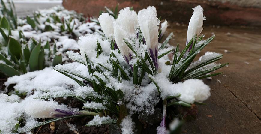 Туманы, гололедица и до +14°С ожидается в Беларуси в выходные