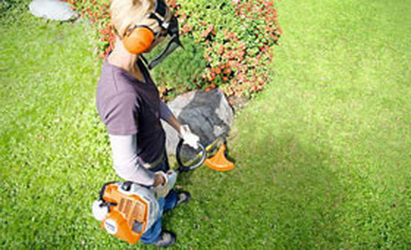 Мотокоса STIHL FS 55 — ваш оптимальный выбор