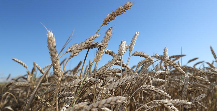 Александр Лукашенко посещает с рабочей поездкой Слуцкий район