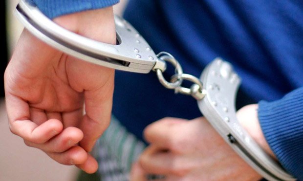 Выращивали коноплю в лесу. В Волковысском районе задержали двух местных жителей, причастных к незаконному обороту наркотиков
