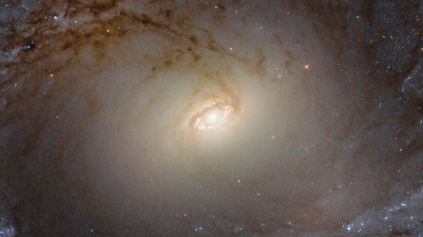 Гороскоп на вторник, 27 декабря