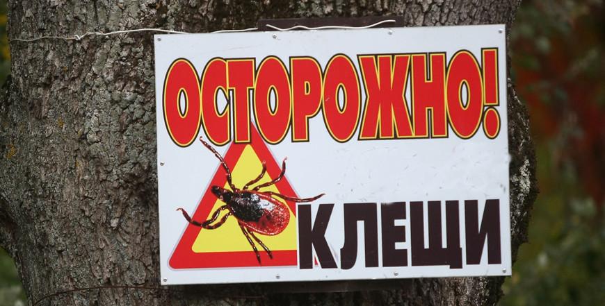 Заболеваемость болезнью Лайма в Беларуси выросла в 1,4 раза