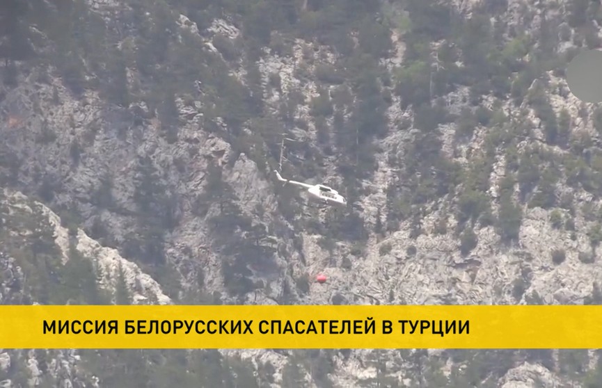 Сотрудники МЧС Беларуси прибыли в Турцию, чтобы помочь тушить лесные пожары