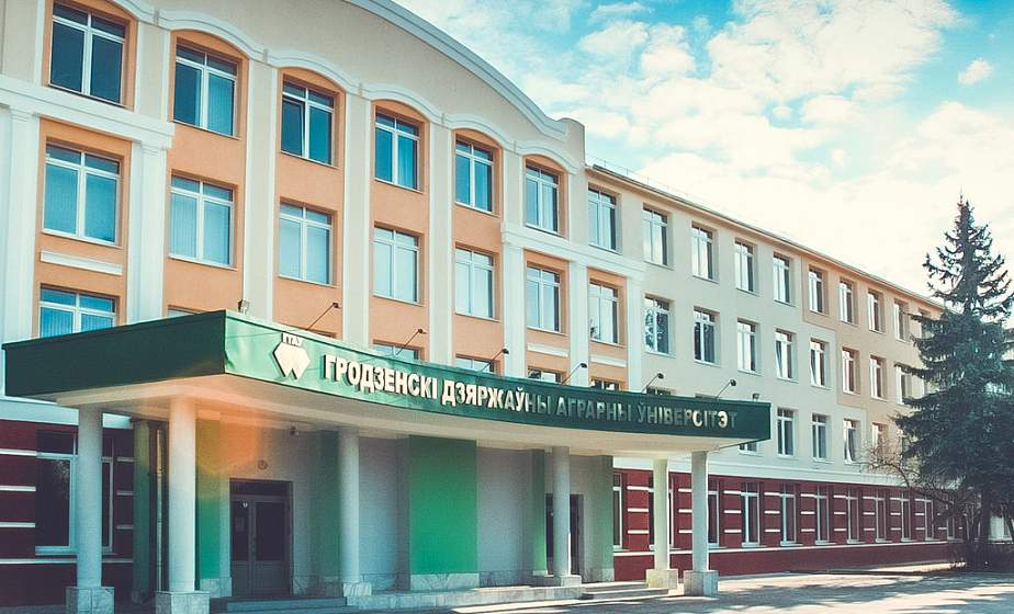 Каждый должен внести свой позитивный вклад в развитие страны