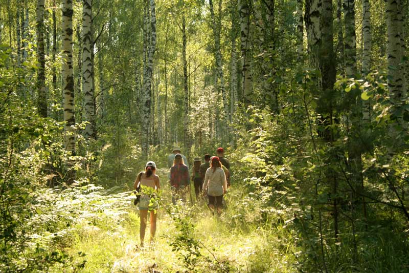 Экскурсии в рамках экологического туризма начали проводить в Сморгонском опытном лесхозе