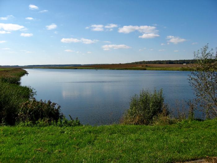 Новые спасательные посты появятся на водоемах в Островце и Новогрудке