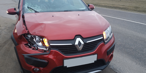 Под Гродно Renault сбил пенсионерку. Женщина умерла в больнице 