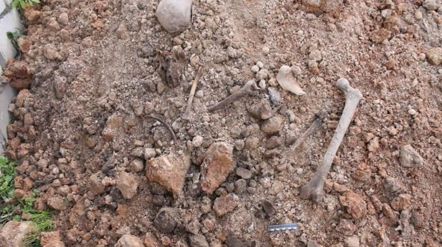 В Сморгони при прокладке теплотрассы нашли костные останки