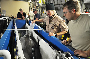 НАТО выпустит боевых дельфинов в Черное море