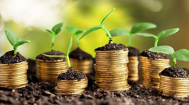 Китайский бизнес инвестирует в сферы логистики и туризма Гродненской области