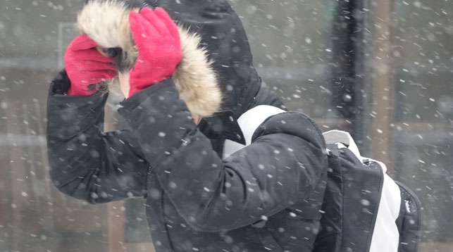 Дождь и мокрый снег ожидаются по западу Беларуси 25 октября