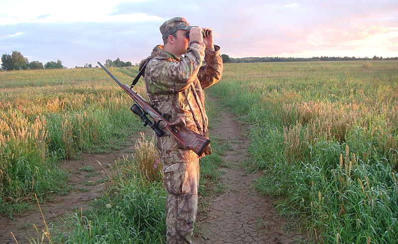  Волк, лисица, цапля. На кого можно охотиться в Беларуси в июле