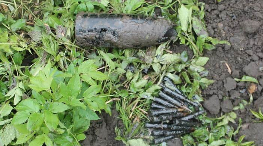 Житель Гродненского района выкопал на своем участке патроны времен войны